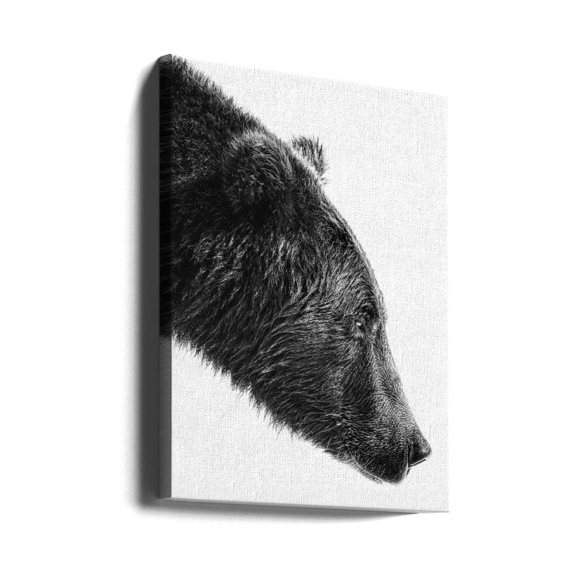 Wall Art The Salmon Catcher by Anchor Lee-canvas prints-DECOROLALA