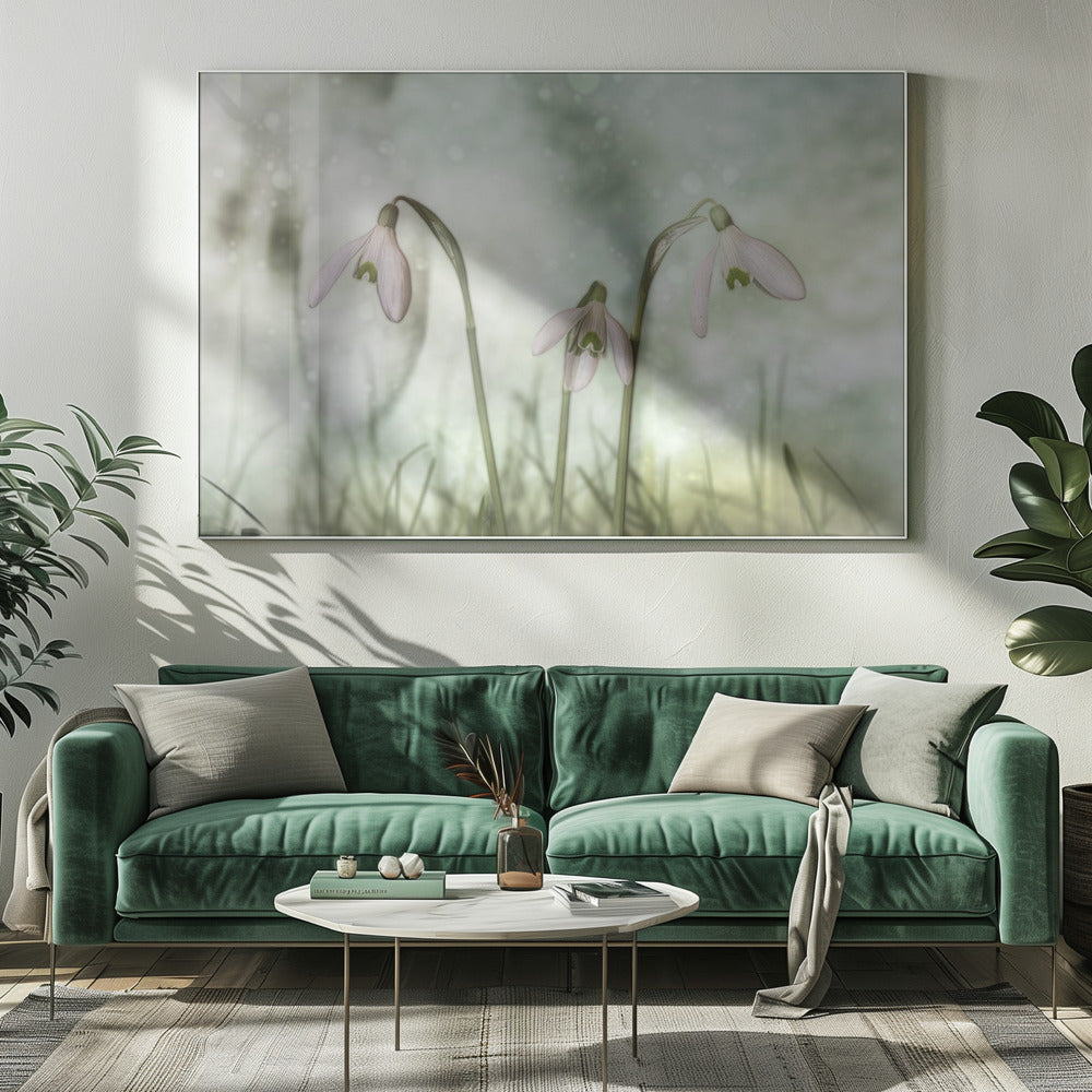 Wall Art Trio 2 by Marie-anne Stas-canvas-DECOROLALA