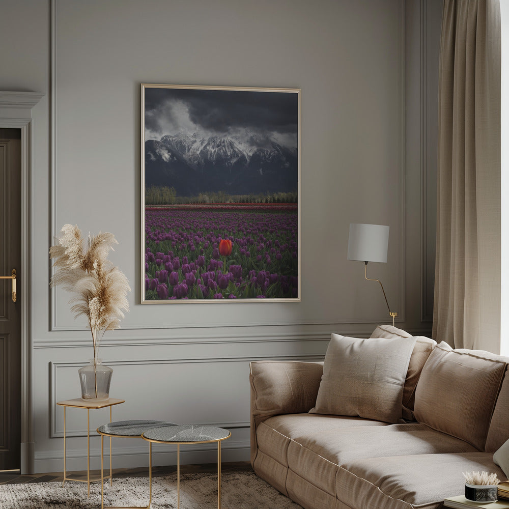 Wall Art Tulip Vancouver Canada by Leon U-Canvas Print-DECOROLALA