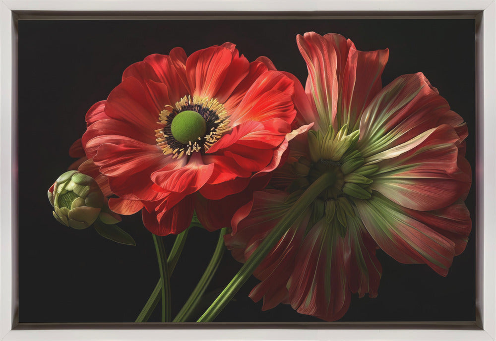 Wall Art Twins by Bilge Paksoylu-canvas-DECOROLALA