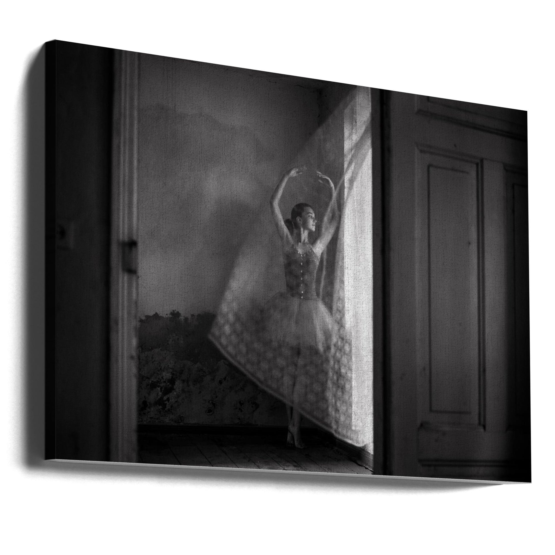 Wall Art Untitled Canvas Print-Canvas Print-DECOROLALA