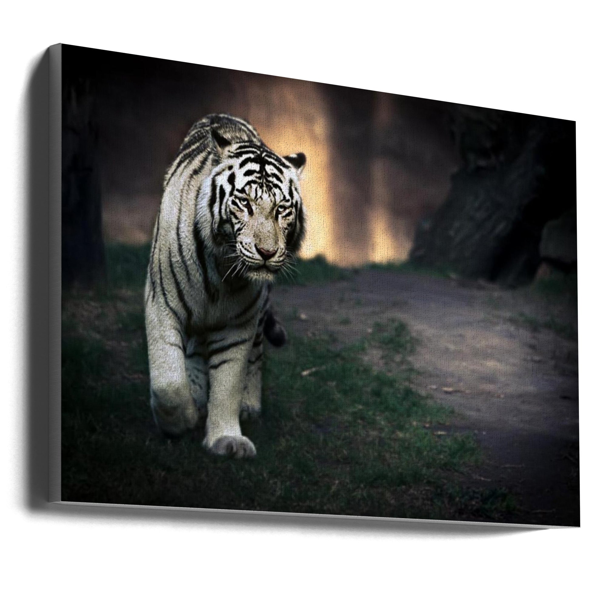 Wall Art White Walker by Jesus Gonzalez Vera-canvas-DECOROLALA