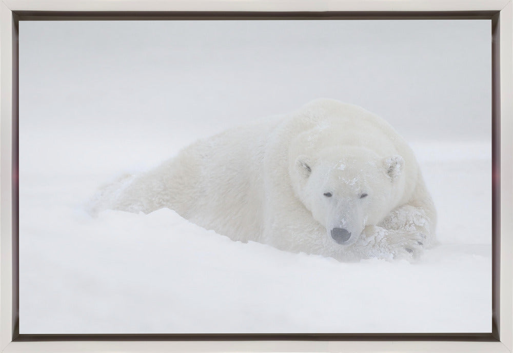 Wall Art White by Marco Pozzi-Canvas Print-DECOROLALA