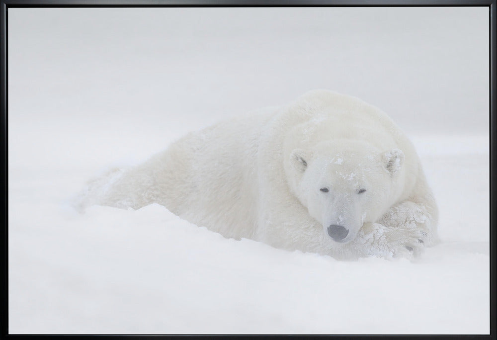 Wall Art White by Marco Pozzi-Canvas Print-DECOROLALA