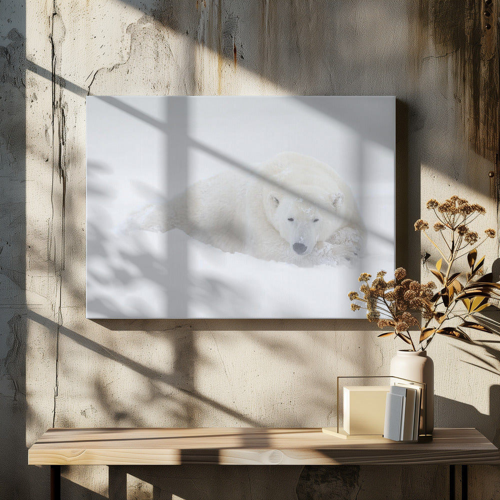 Wall Art White by Marco Pozzi-Canvas Print-DECOROLALA