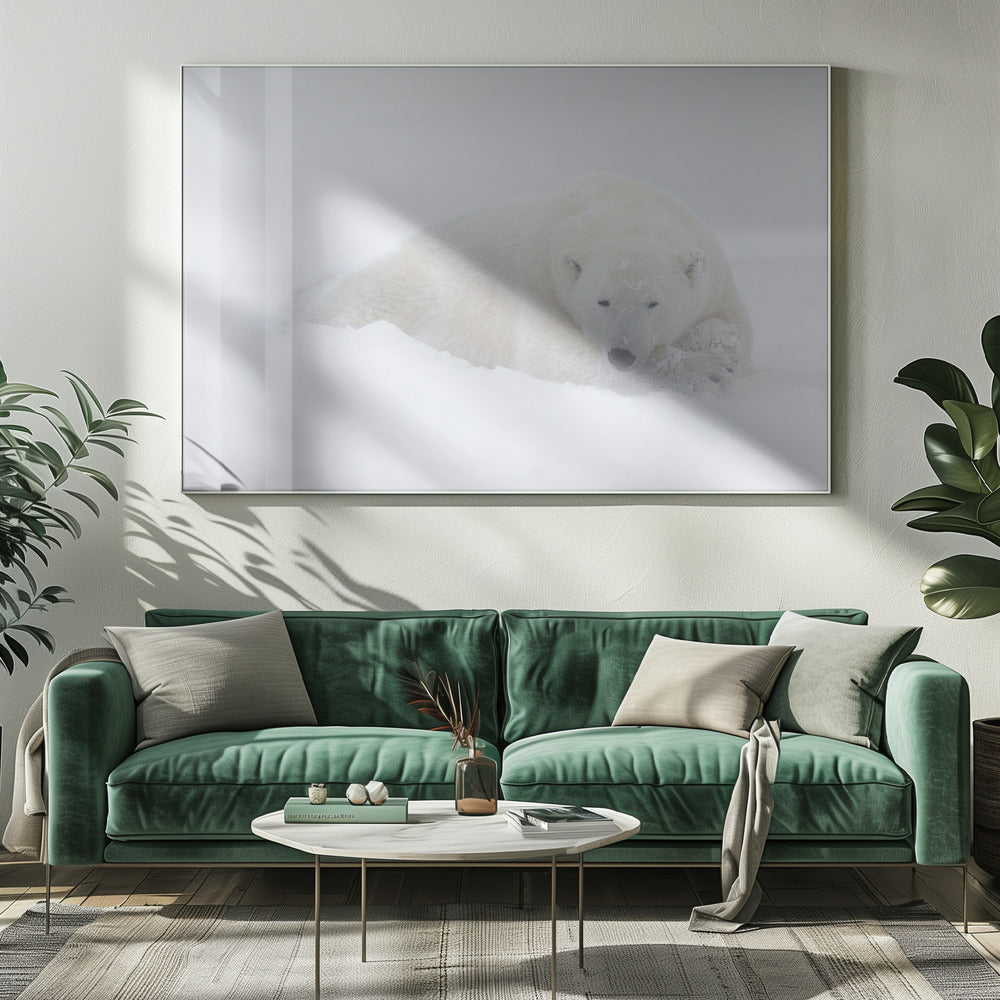 Wall Art White by Marco Pozzi-Canvas Print-DECOROLALA