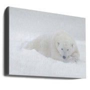 Wall Art White by Marco Pozzi-Canvas Print-DECOROLALA