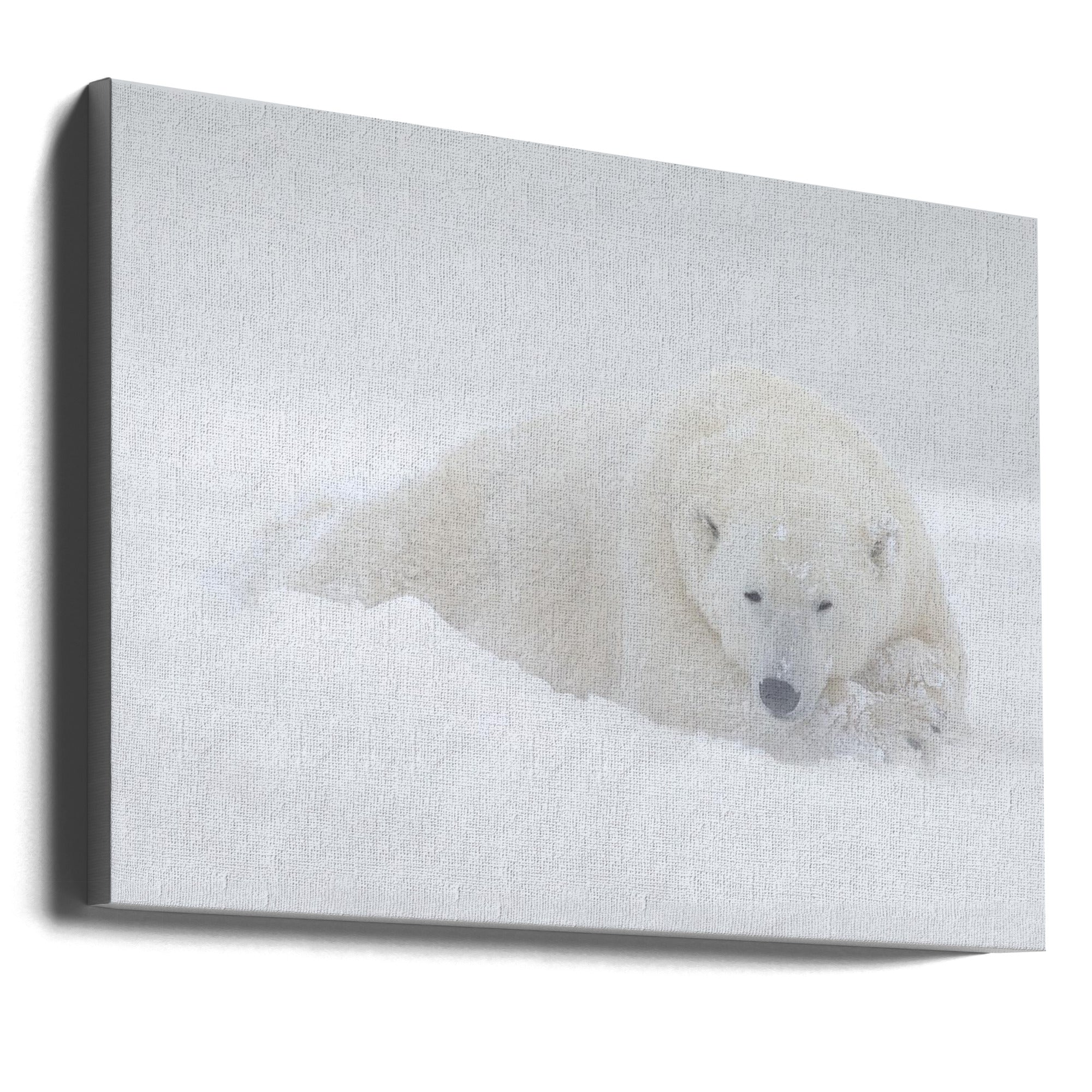 Wall Art White by Marco Pozzi-Canvas Print-DECOROLALA