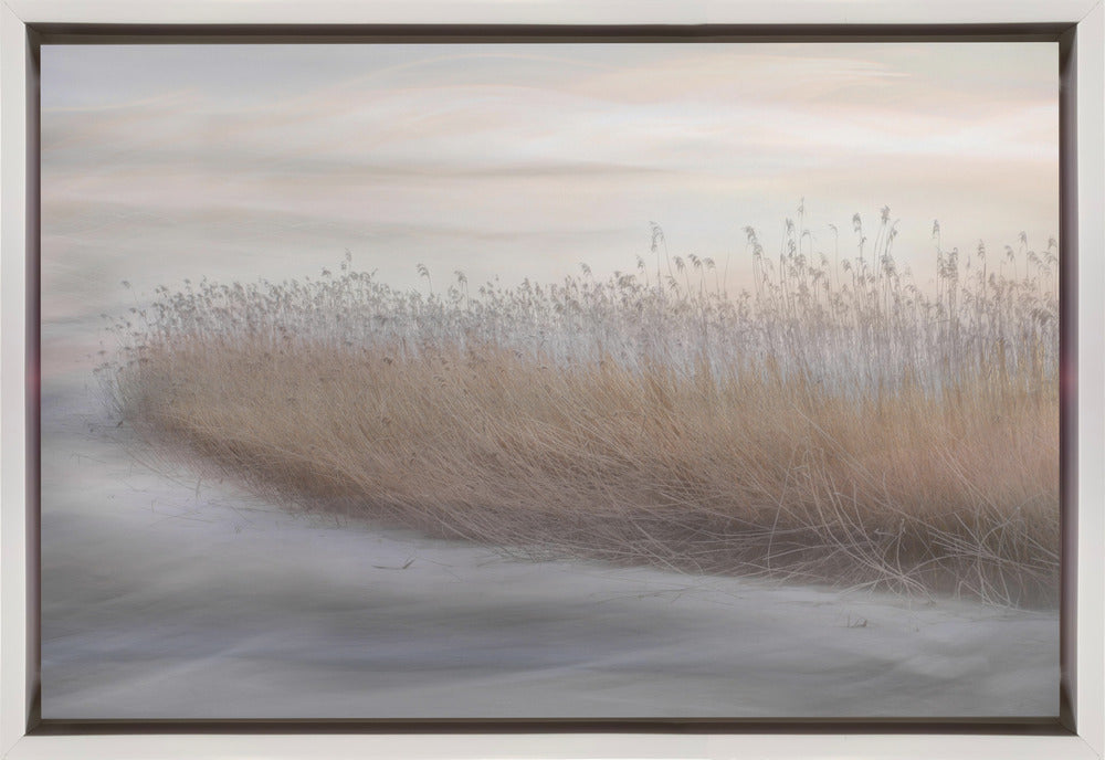Wall Art Winter Reed by Christina Sillen-Canvas Print-DECOROLALA