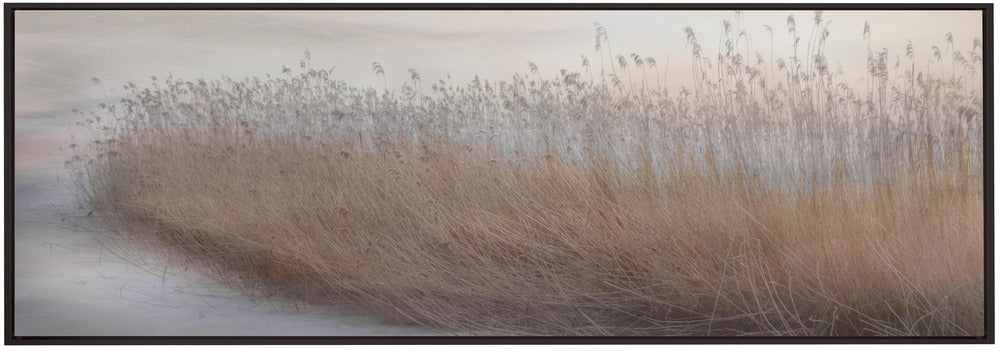Wall Art Winter Reed by Christina Sillen-Canvas Print-DECOROLALA