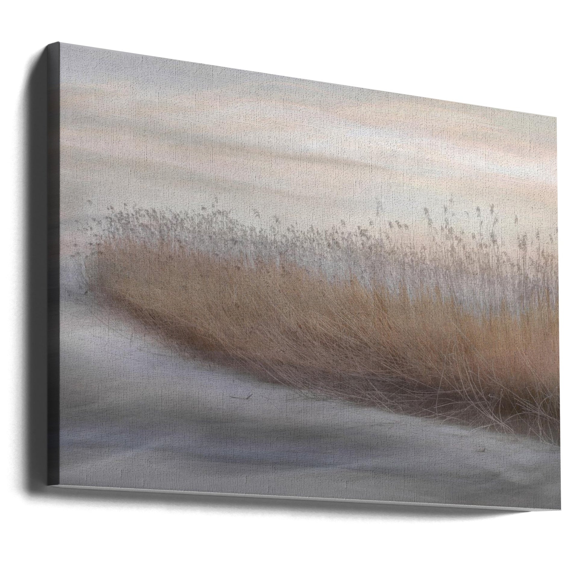 Wall Art Winter Reed by Christina Sillen-Canvas Print-DECOROLALA