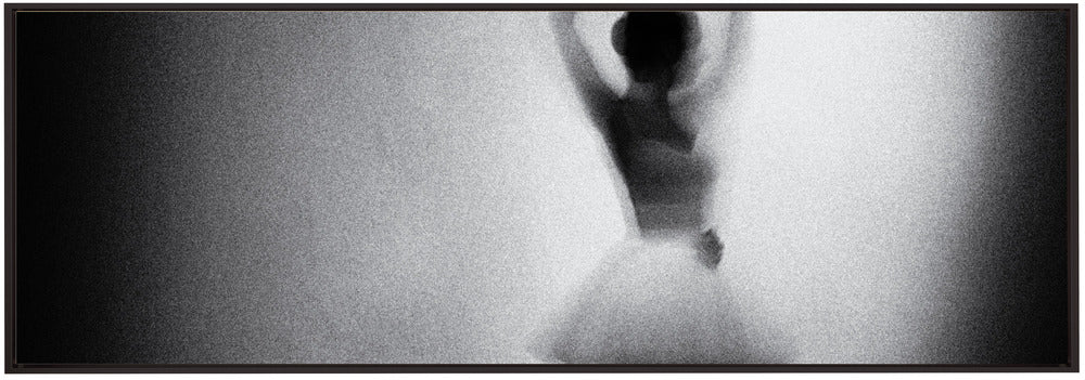 Wall Art by Paulo Medeiros-Canvas Print-DECOROLALA