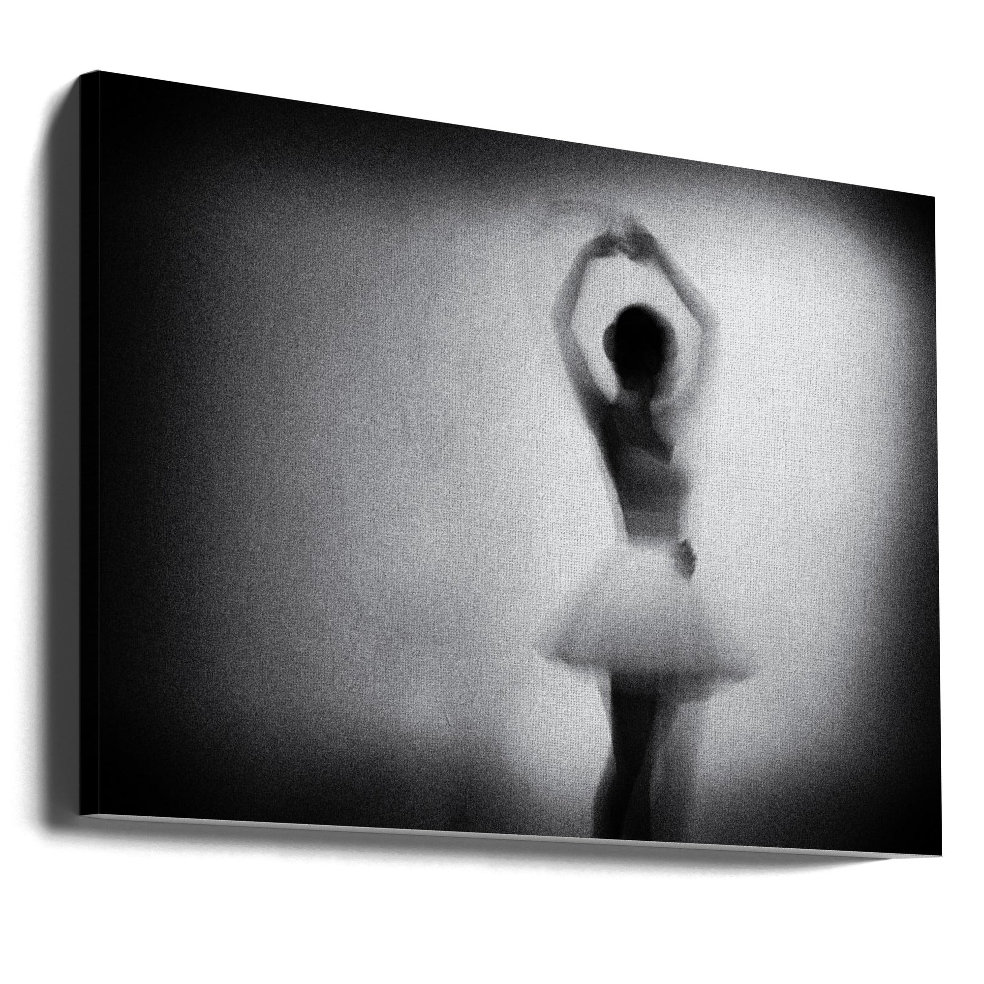 Wall Art by Paulo Medeiros-Canvas Print-DECOROLALA