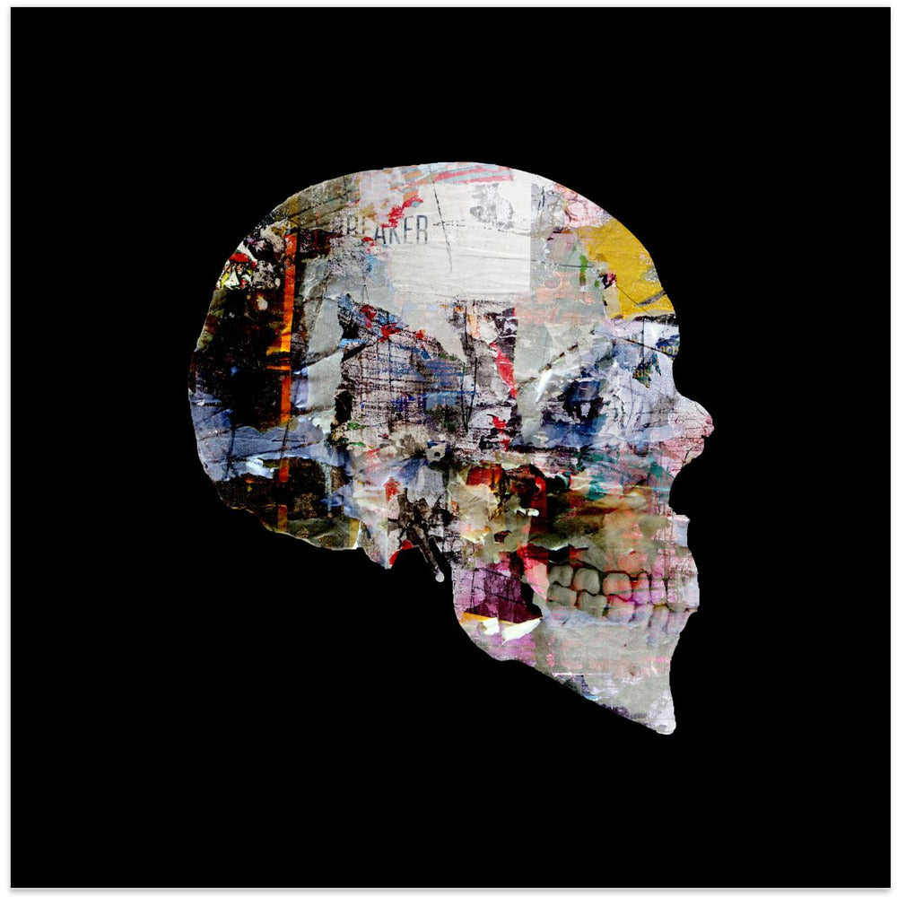 Wall art 713 VaniteÌ-canvas-DECOROLALA