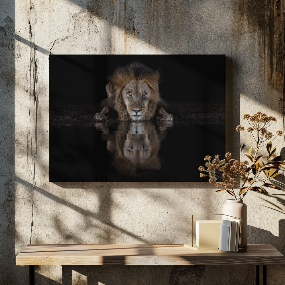 Wall art A Lion at The Night-canvas-DECOROLALA