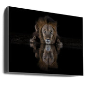 Wall art A Lion at The Night-canvas-DECOROLALA