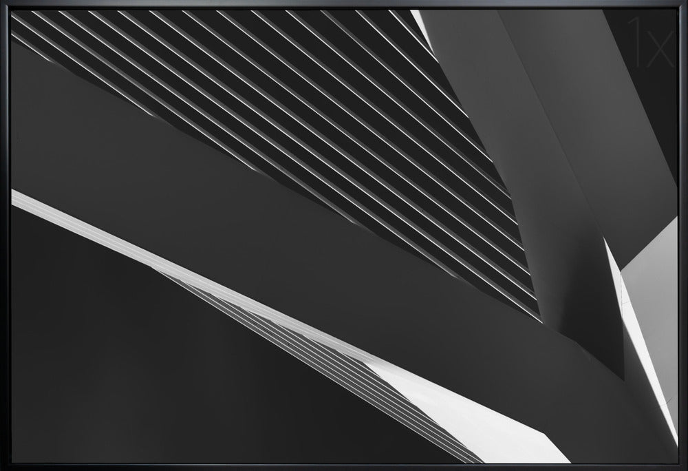 Wall art Abstraction of a swan-Canvas Print-DECOROLALA