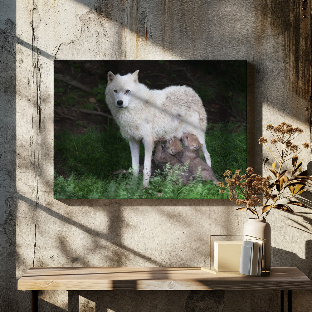 Wall art Arctic Wolves - Remus and Romulus-Canvas Print-DECOROLALA
