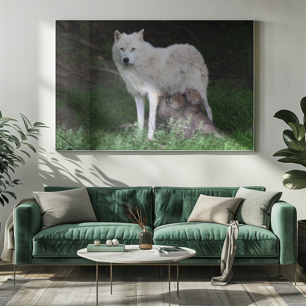 Wall art Arctic Wolves - Remus and Romulus-Canvas Print-DECOROLALA