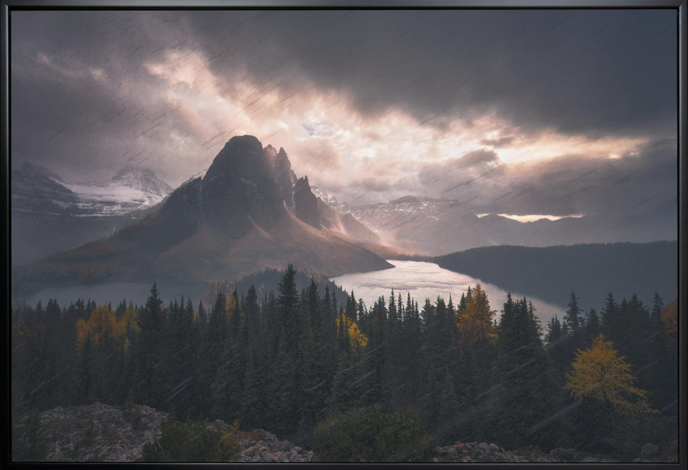 Wall art Assiniboine in Snow-Canvas Print-DECOROLALA