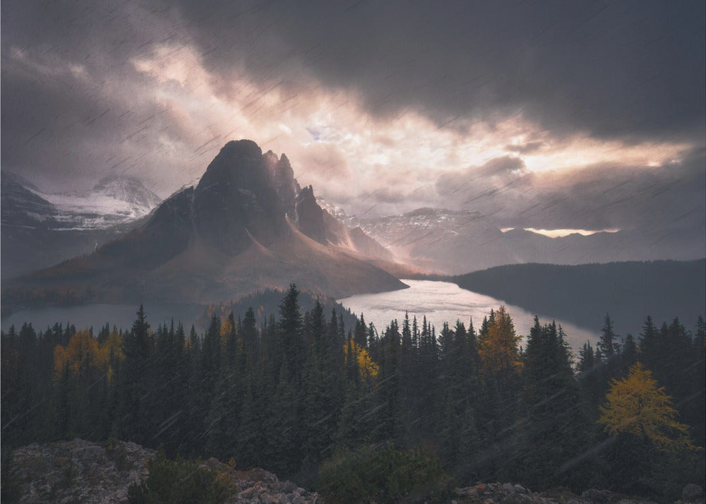 Wall art Assiniboine in Snow-Canvas Print-DECOROLALA