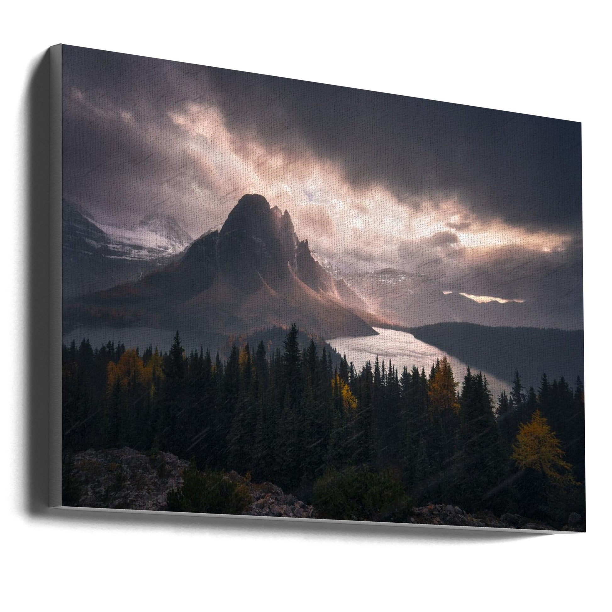 Wall art Assiniboine in Snow-Canvas Print-DECOROLALA