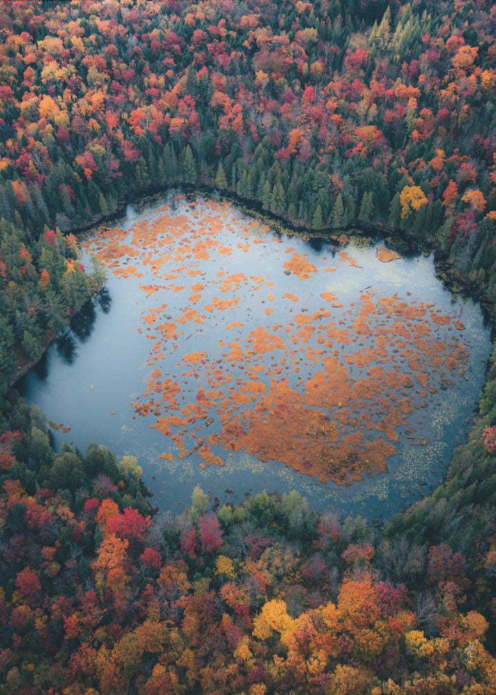 Wall art Autumn at the Lake-Canvas Print-DECOROLALA