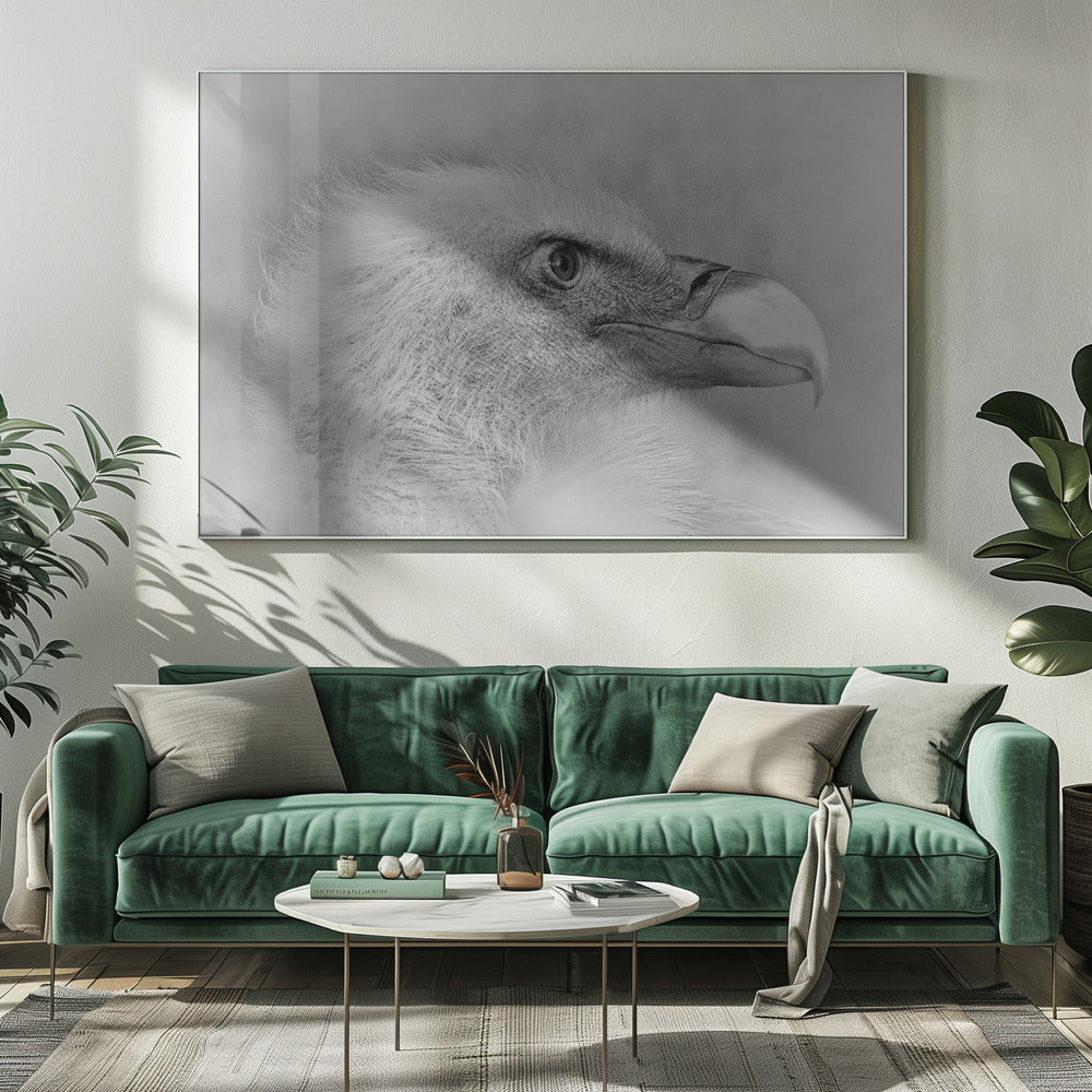Wall art Bald eagle-Canvas Print-DECOROLALA