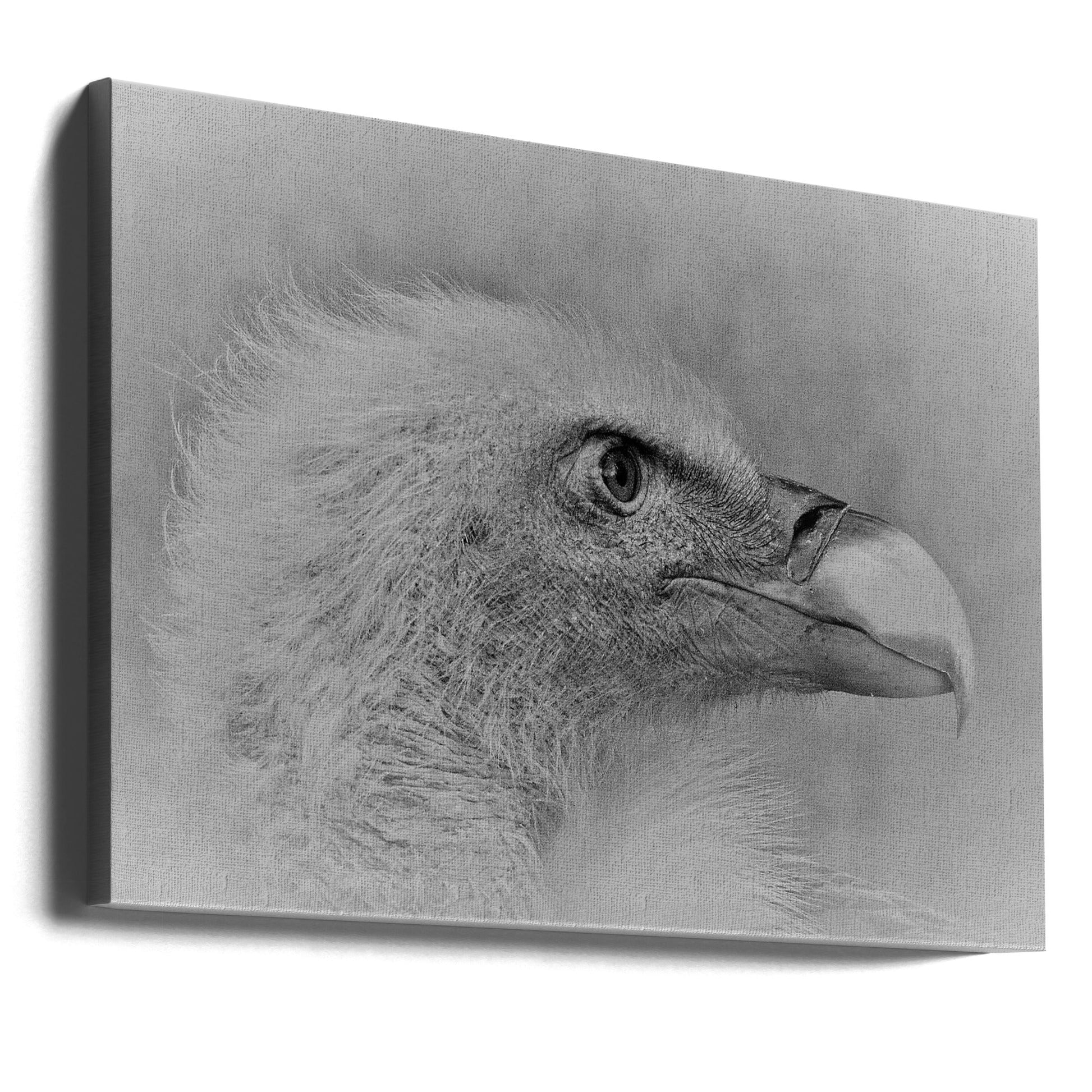 Wall art Bald eagle-Canvas Print-DECOROLALA
