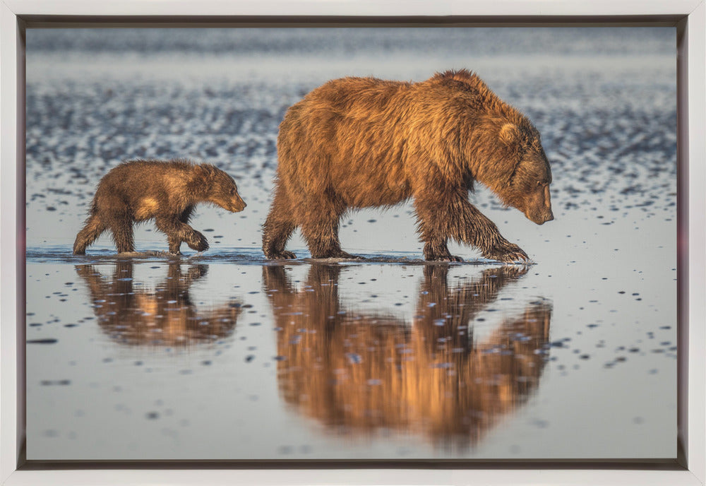 Wall art Beauty and the beast-Canvas Print-DECOROLALA