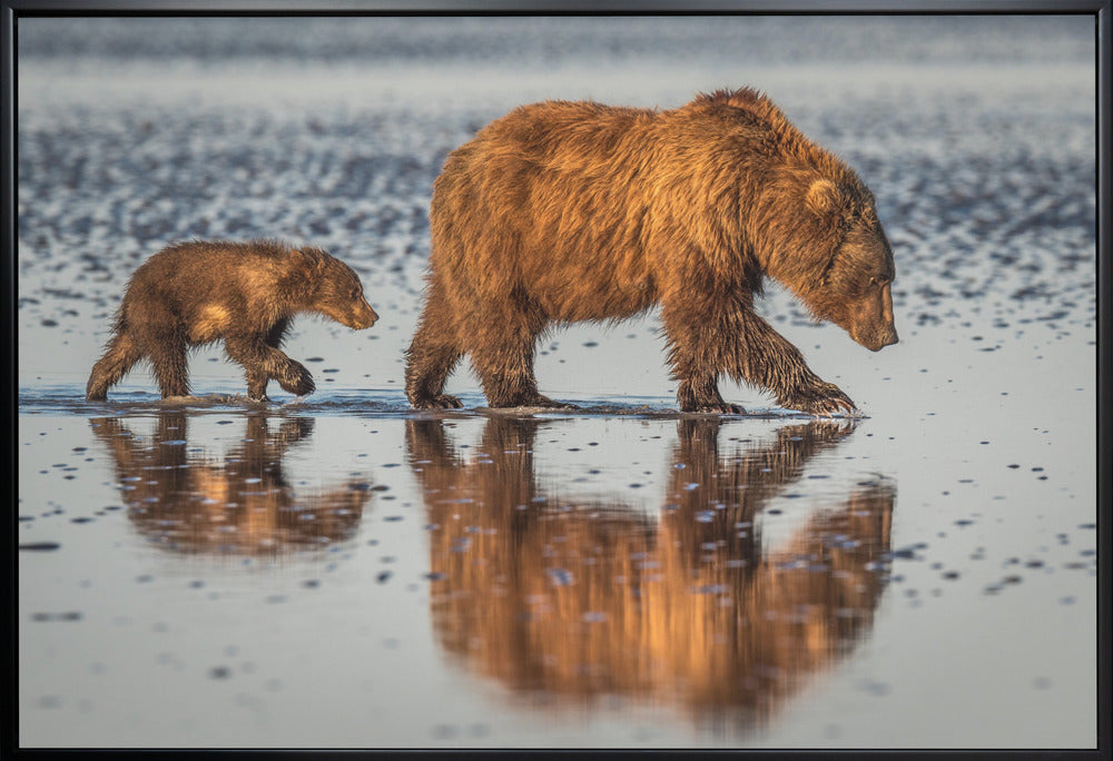 Wall art Beauty and the beast-Canvas Print-DECOROLALA