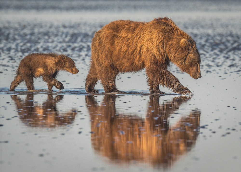 Wall art Beauty and the beast-Canvas Print-DECOROLALA