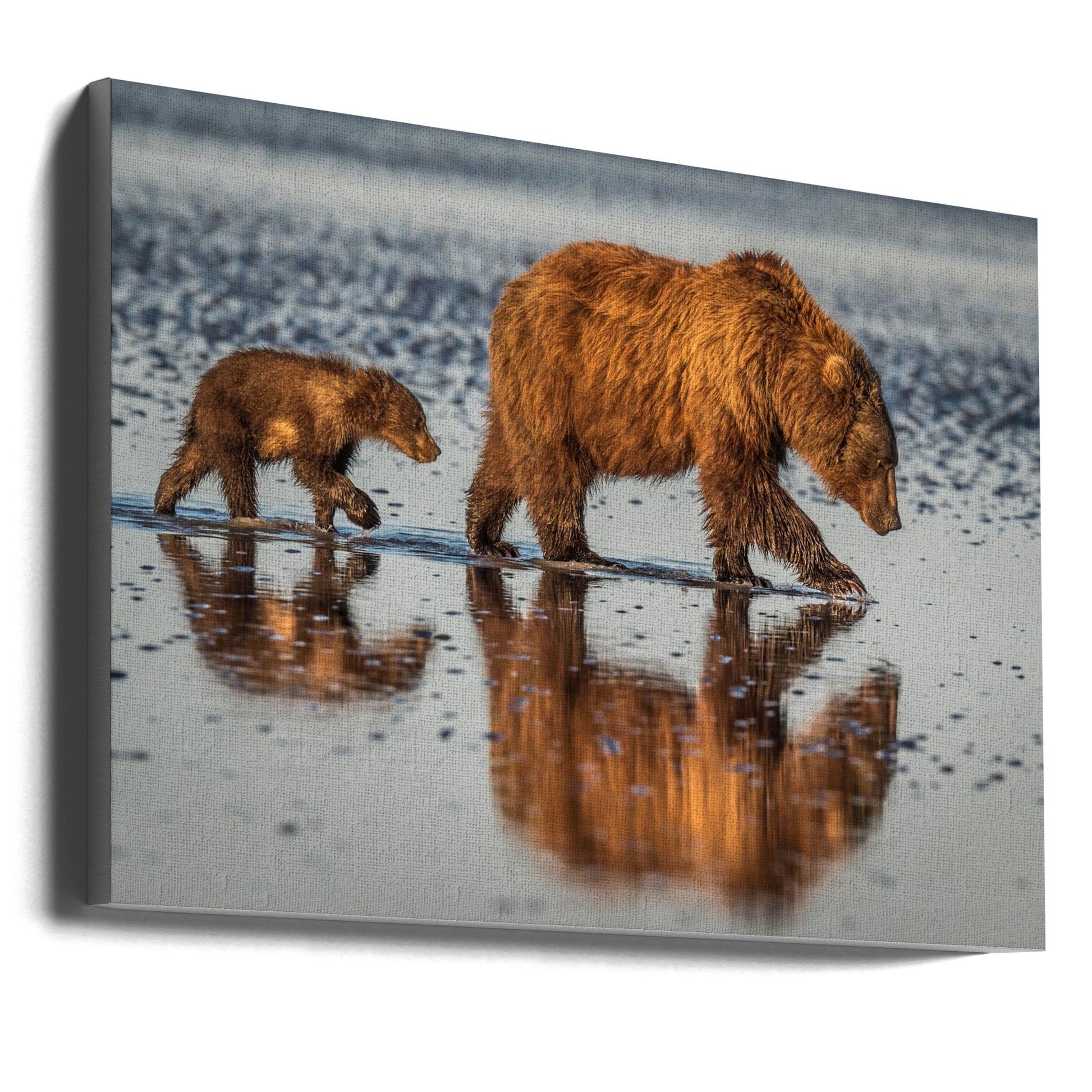 Wall art Beauty and the beast-Canvas Print-DECOROLALA