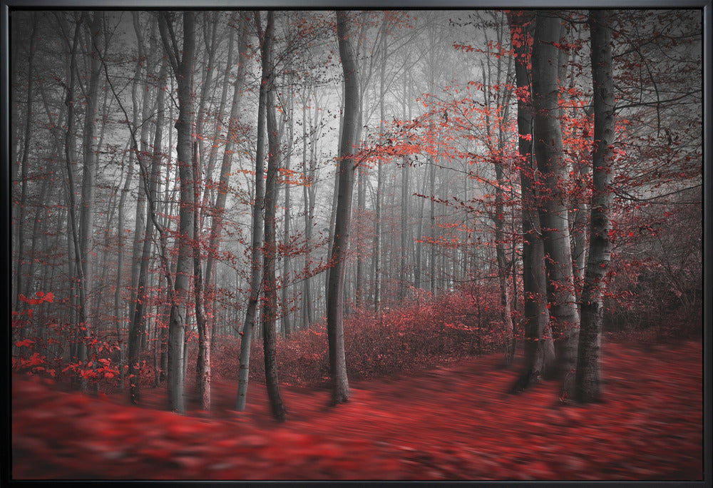 Wall art Bloody River-Canvas Print-DECOROLALA