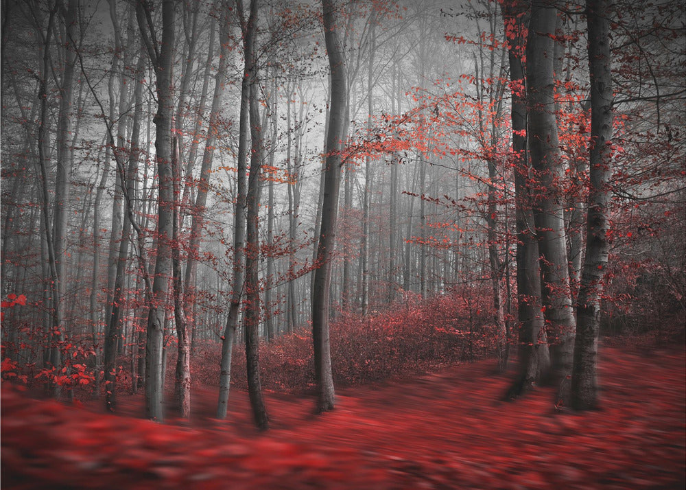 Wall art Bloody River-Canvas Print-DECOROLALA