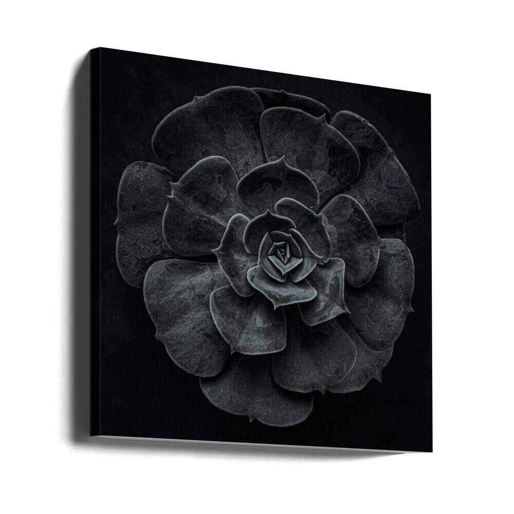 Wall art Cactus flower-Canvas Print-DECOROLALA