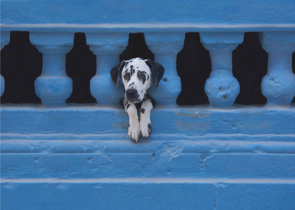 Wall art Centro Habana-Canvas Print-DECOROLALA