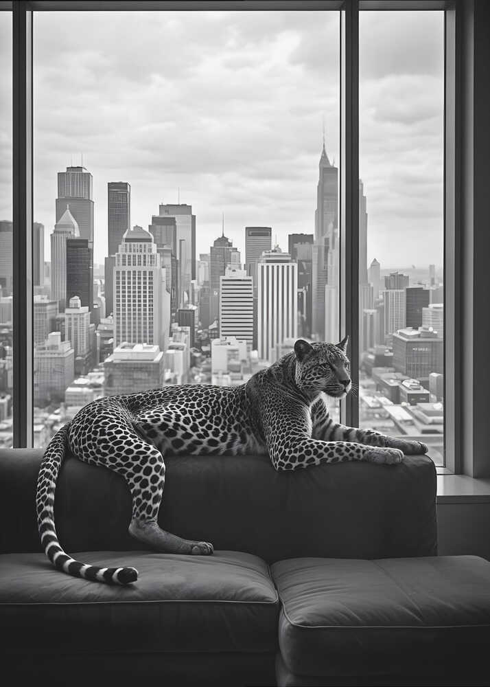 Wall art Conceptual Photography (Archives)-canvas prints-DECOROLALA