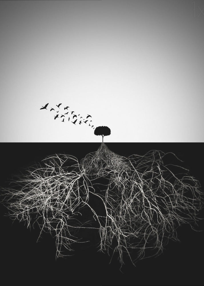 Wall art Do not judge according to appearance-Canvas Print-DECOROLALA