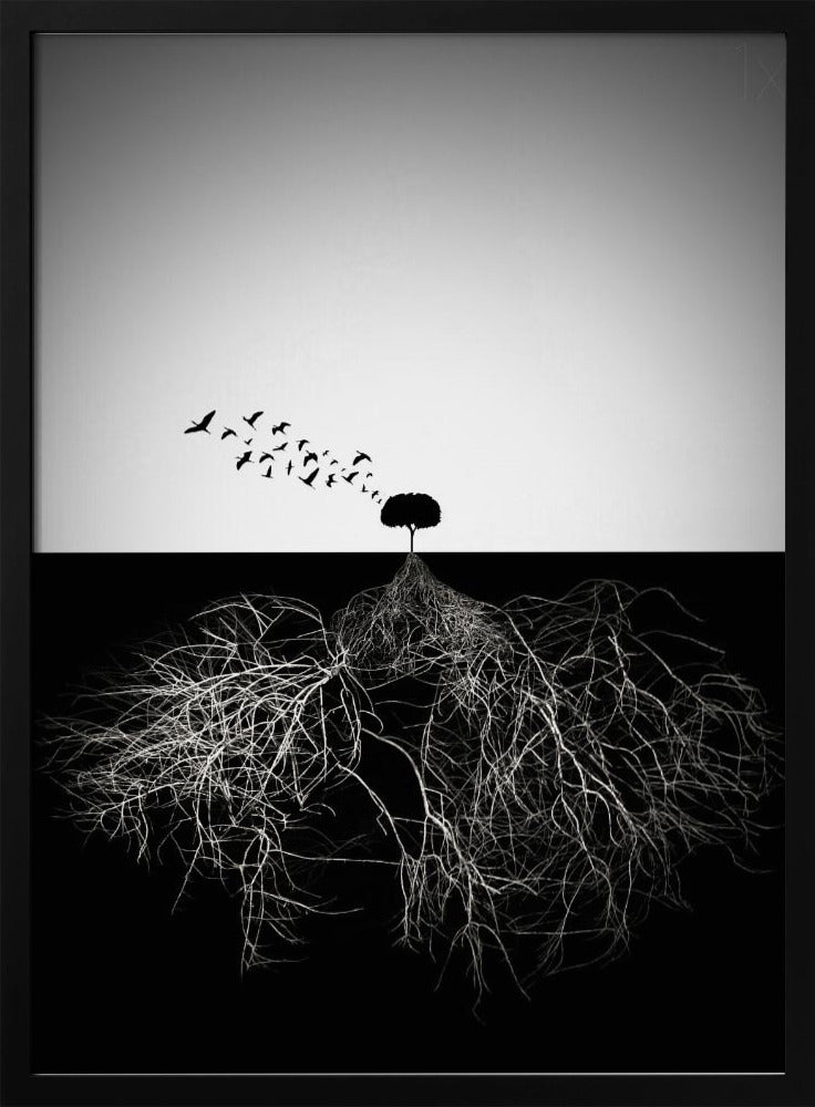 Wall art Do not judge according to appearance-Canvas Print-DECOROLALA