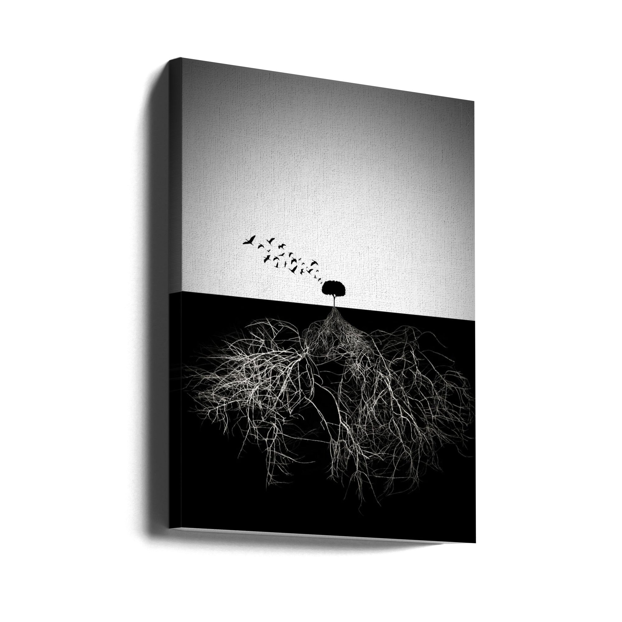 Wall art Do not judge according to appearance-Canvas Print-DECOROLALA