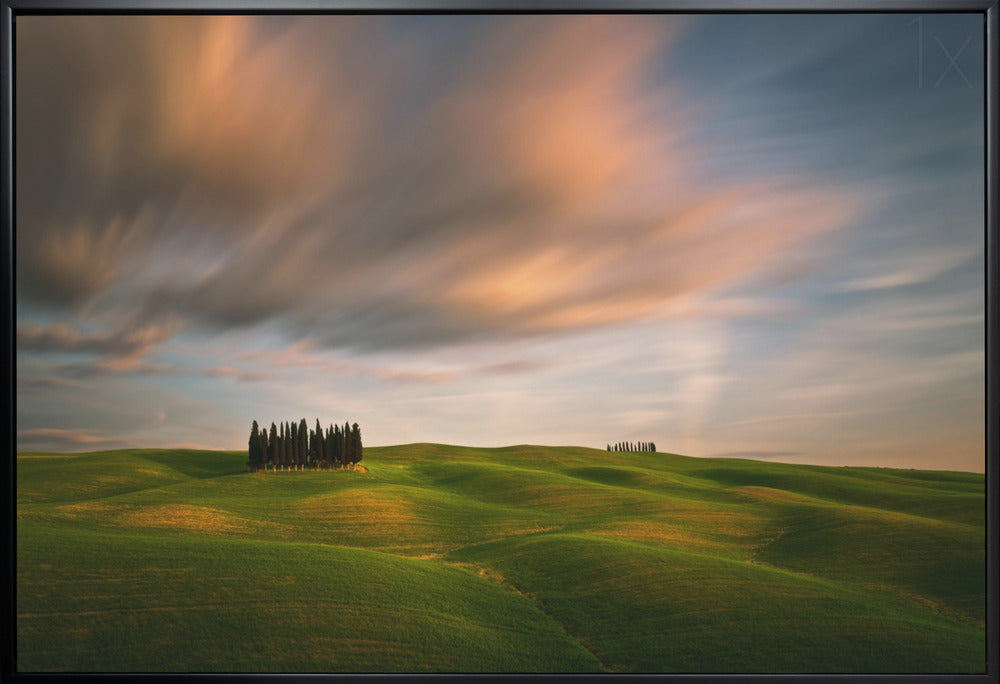 Wall art Fields...-Canvas Print-DECOROLALA