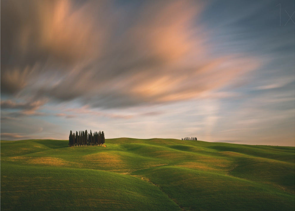 Wall art Fields...-Canvas Print-DECOROLALA