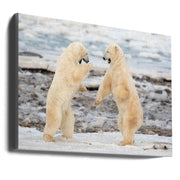 Wall art Fight !-Canvas Print-DECOROLALA