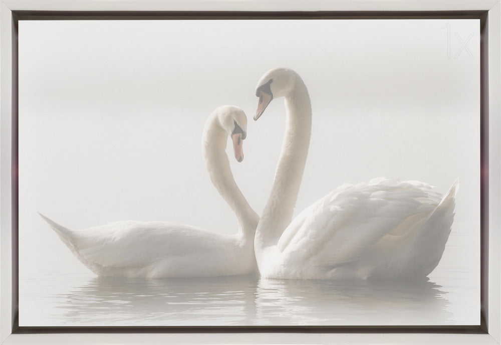 Wall art Forever. Swam-Canvas Print-DECOROLALA