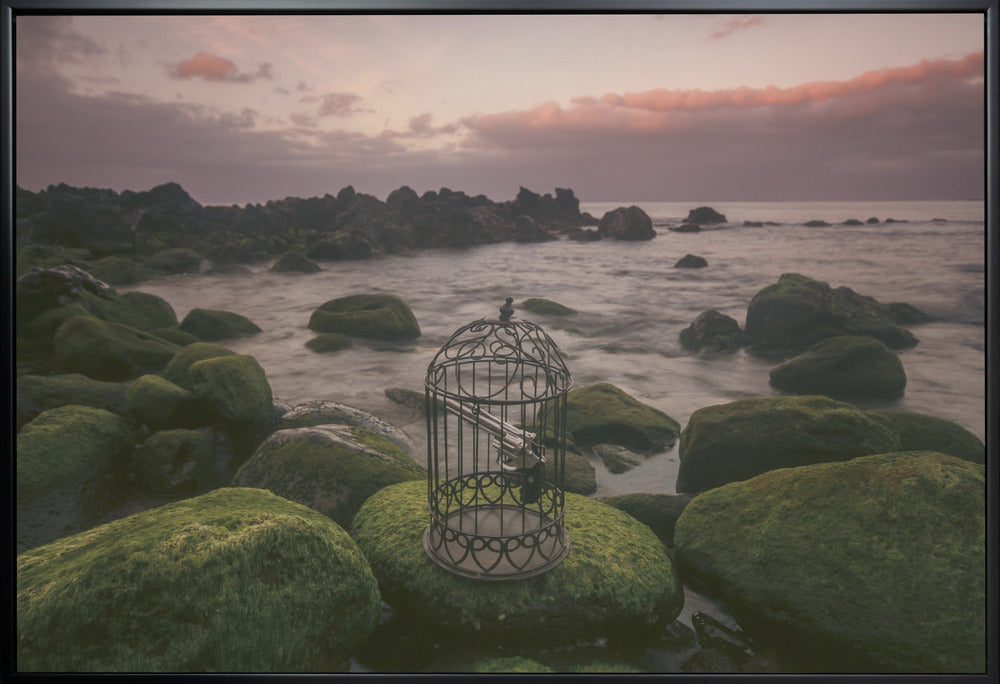 Wall art Free yourself!-Canvas Print-DECOROLALA