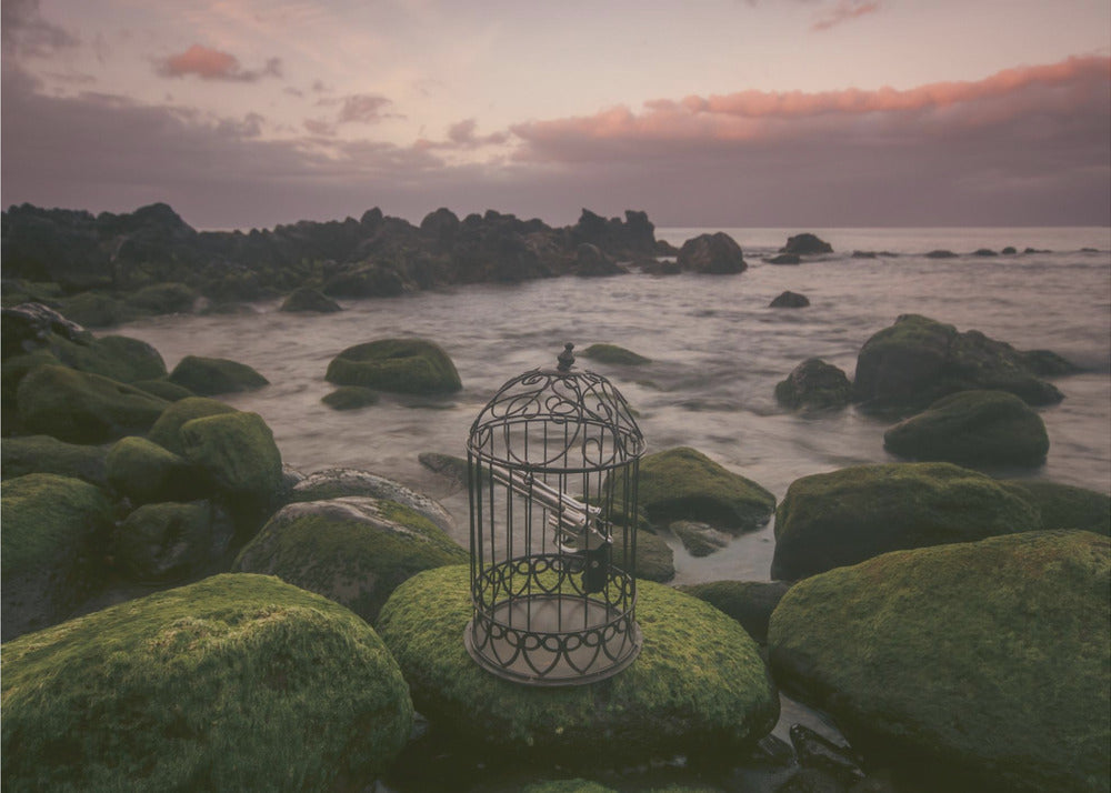 Wall art Free yourself!-Canvas Print-DECOROLALA