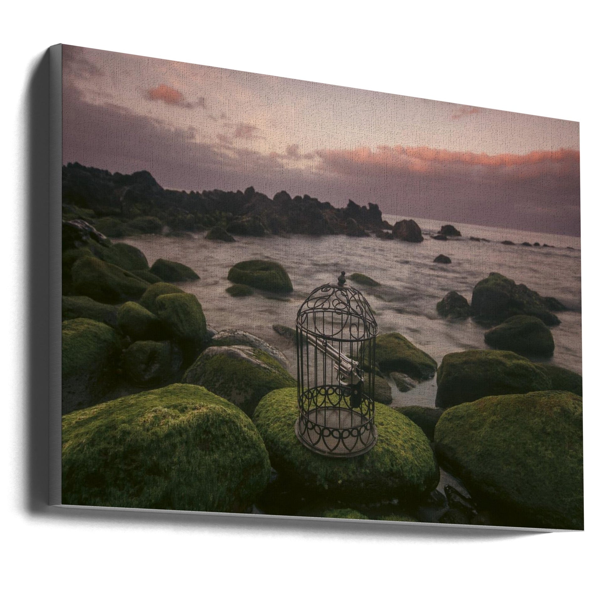 Wall art Free yourself!-Canvas Print-DECOROLALA