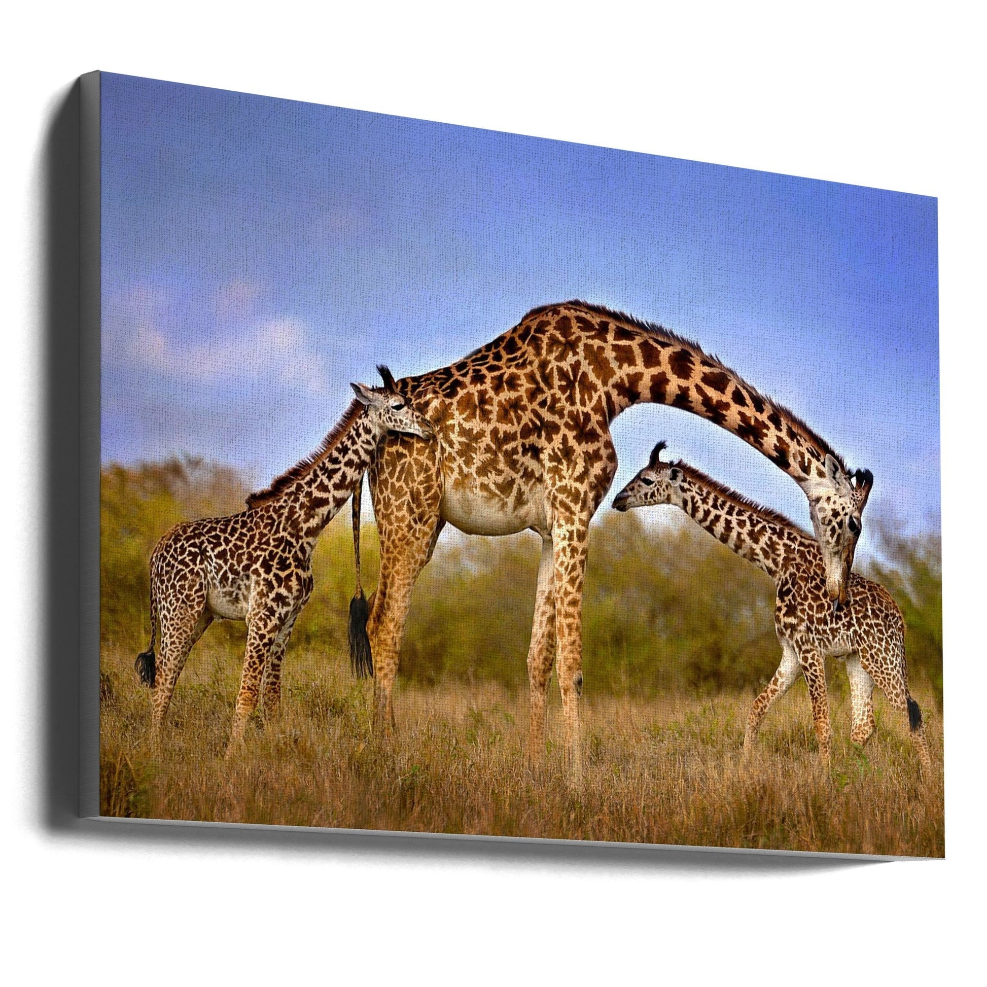 Wall art Giraffe with cubs-Canvas Print-DECOROLALA