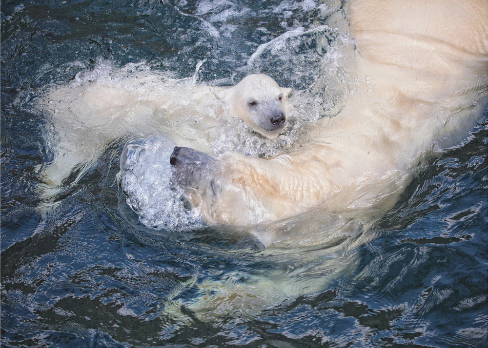 Wall art HER CUTENESS, swimming with mum-Canvas Print-DECOROLALA